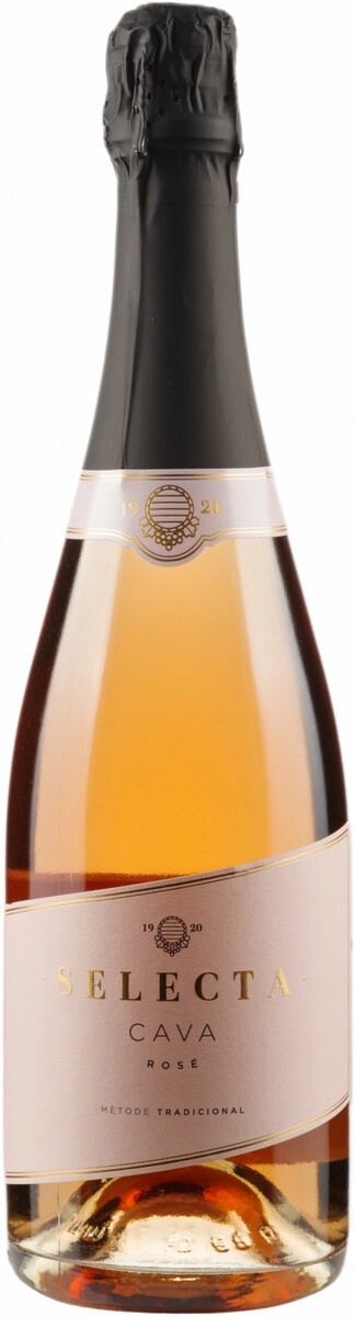 Игристое вино Cavas Masachs, "Selecta" Brut Rose, Cava DO