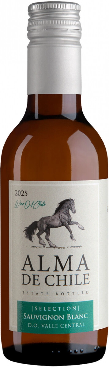 Вино "Alma de Chile" Sauvignon Blanc, Valle Central DO