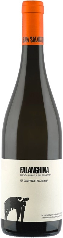 Вино San Salvatore, Falanghina, Campania IGT