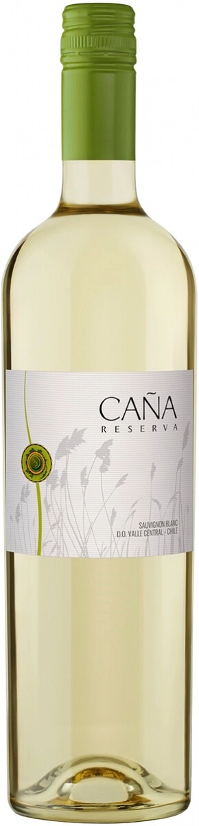 Вино Maola, "Cana" Reserva Sauvignon Blanc, Valle Central DO