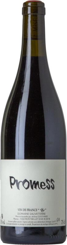 Вино Domaine Sauveterre, "Promess" VdF