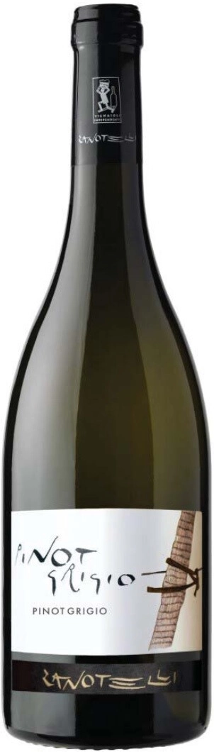 Вино Zanotelli, Pinot Grigio, Trentino DOC