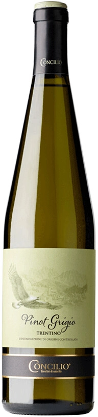 Вино "Concilio" Pinot Grigio, Trentino DOC