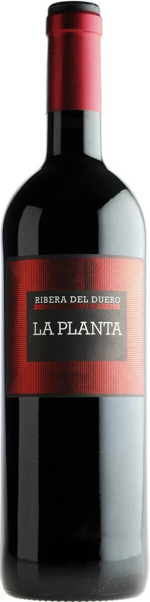 Вино Arzuaga Navarro, "La Planta"