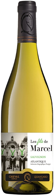 Вино "Les Fils de Marcel" Sauvignon, Atlantique IGP