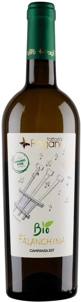 Вино Fattoria Pagano, Falanghina Bio, Campania IGT