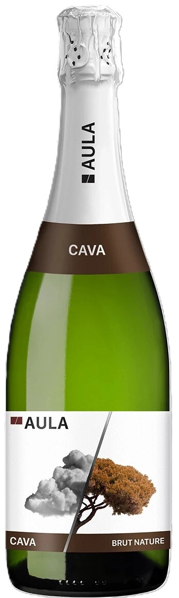 Игристое вино Covinas, "Aula" Brut Nature, Cava DOP