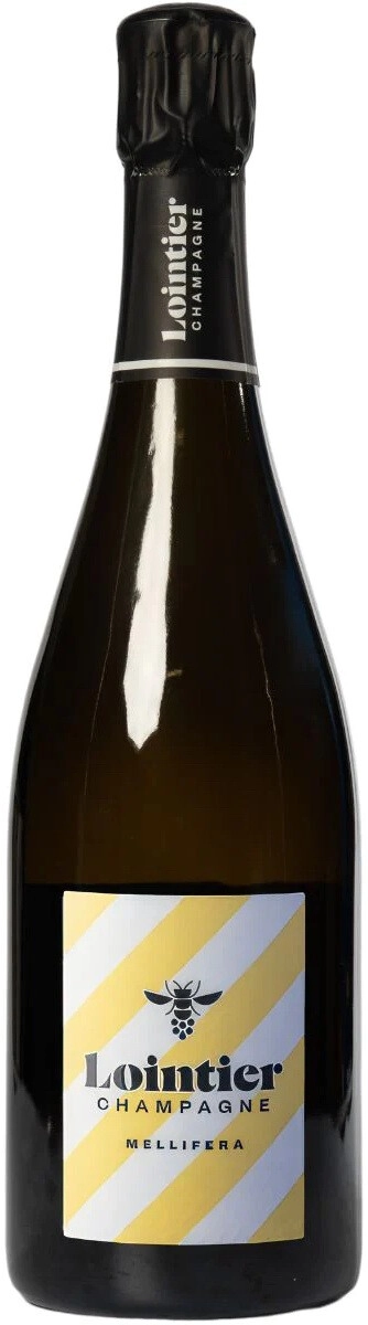 Шампанское Lointier, "Mellifera" Extra Brut, Champagne AOC