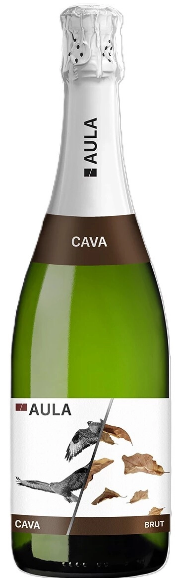 Игристое вино Covinas, "Aula" Brut, Cava DOP