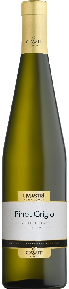 Вино "Mastri Vernacoli" Pinot Grigio, Trentino DOC