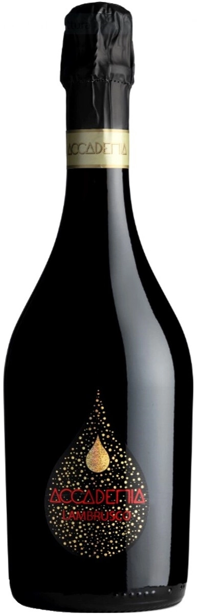 Игристое вино Bottega, "Accademia" Lambrusco Rosso dell'Emilia IGT