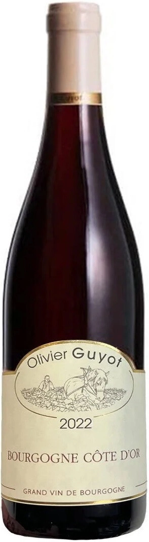 Вино Olivier Guyot, Bourgogne Cote d'Or Pinot Noir AOP