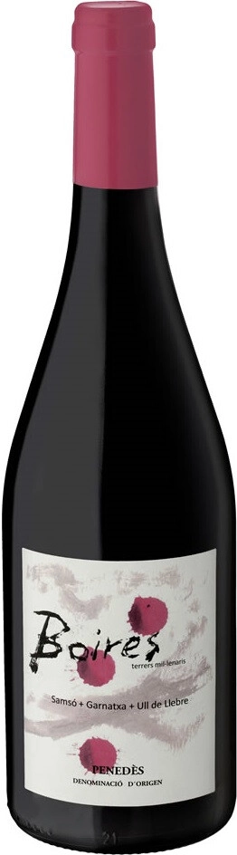 Вино Alsina & Sarda, "Boires", Penedes DO