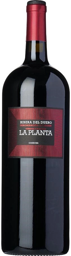 Вино Arzuaga Navarro, "La Planta",  Ribera del Duero DO