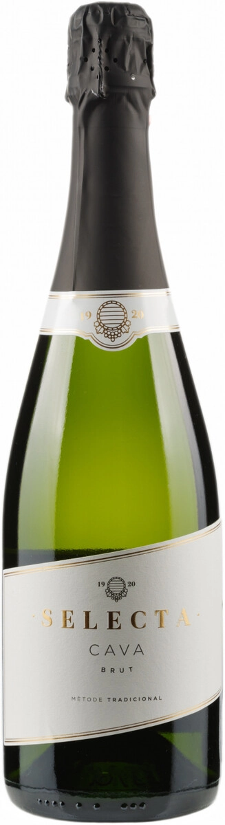 Игристое вино Cavas Masachs, "Selecta" Brut, Cava DO