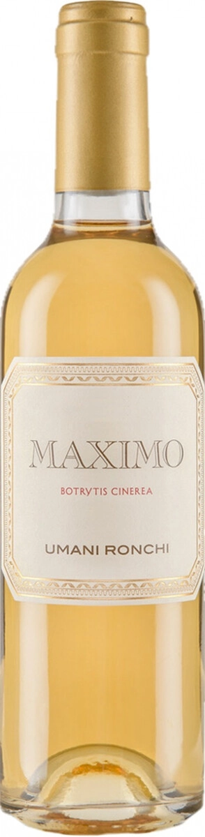 Вино Umani Ronchi, "Maximo", Marche IGT
