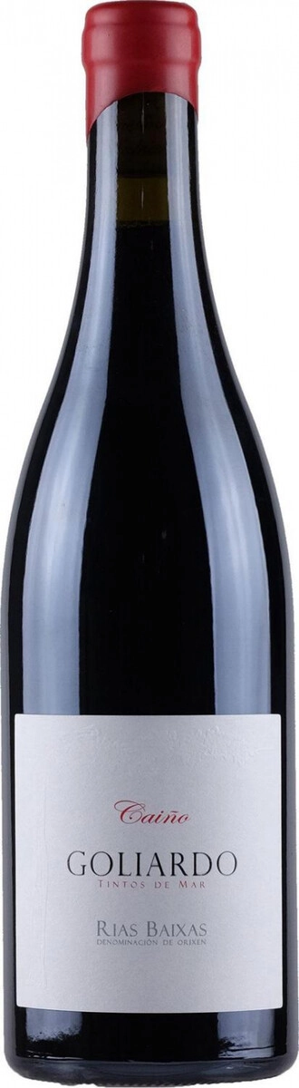 Вино Forjas Del Salnes, "Goliardo", Rias Baixas DO