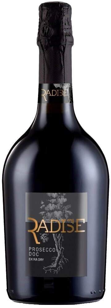 Игристое вино San Martino, "Radise" Prosecco DOC Extra Dry