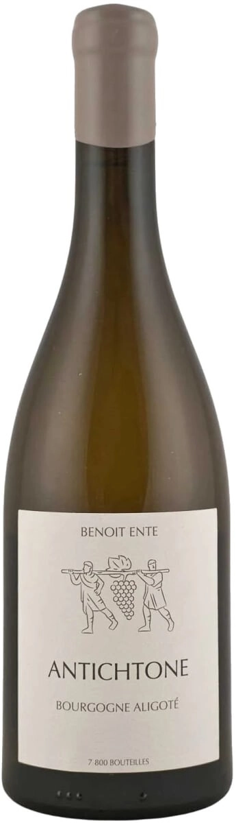 Вино Domaine Benoit Ente, "Antichtone", Bourgogne AOC Aligote