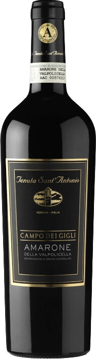 Вино Tenuta Sant'Antonio, "Campo dei Gigli" Amarone della Valpolicella DOC