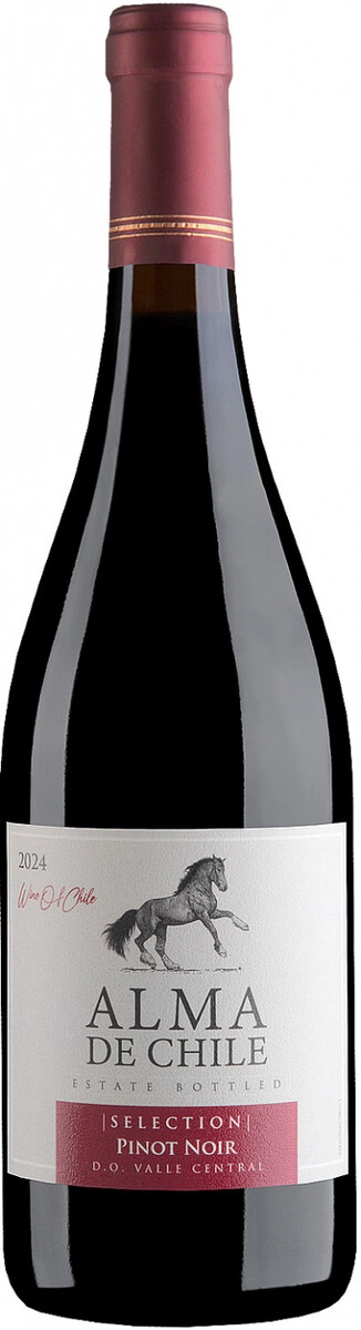 Вино "Alma de Chile" Pinot Noir, Valle Central DO