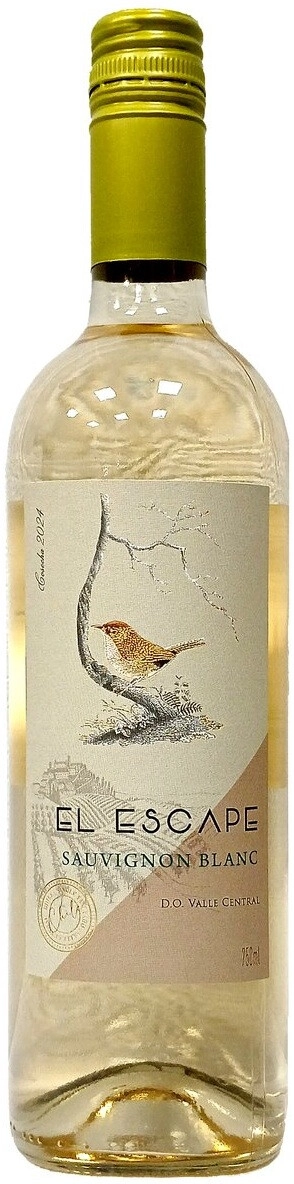 Вино "El Escape" Sauvignon Blanc, Valle Central DO