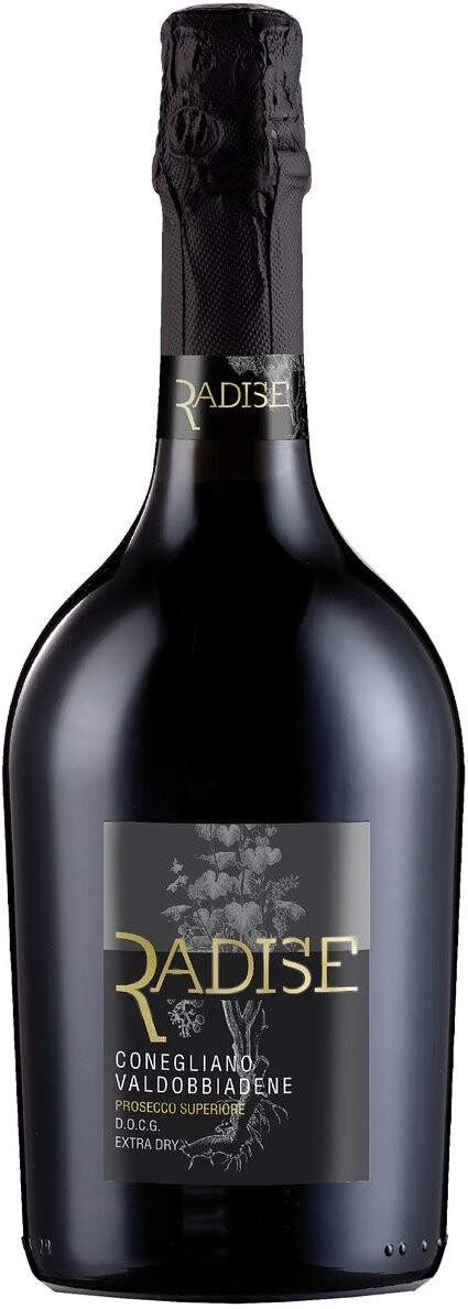 Игристое вино San Martino, "Radise" Conegliano Valdobbiadene Prosecco Superiore DOCG Extra Dry