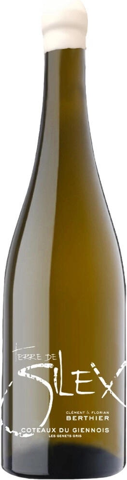Вино Clement & Florian Berthier, "Terre de Silex", Coteaux du Giennois AOC