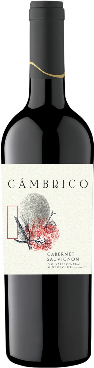 Вино "Cambrico" Cabernet Sauvignon, Valle Central DO