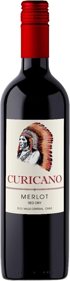 Вино "Curicano" Merlot, Valle Central DO