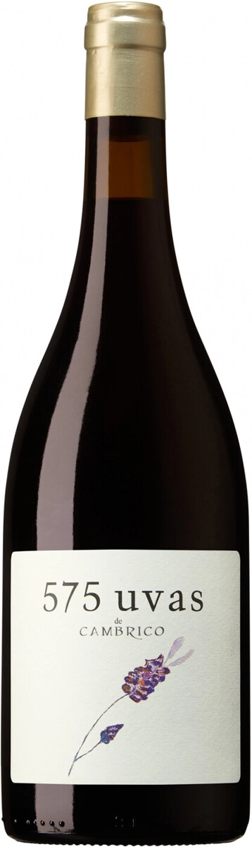 Вино Cambrico, "575 Uvas de Cambrico", Sierra de Salamanca DOP
