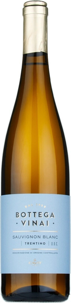 Вино Cavit, "Bottega Vinai" Sauvignon, Trentino DOC