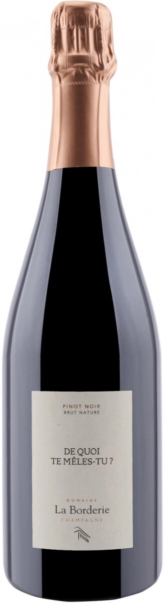 Шампанское Domaine La Borderie, "De Quoi Te Meles Tu?" Blanc de Noirs, Champagne AOC