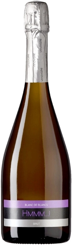 Игристое вино Vinovalie, "Hmmm..!" Blanc de Blancs Brut, Gaillac АОP