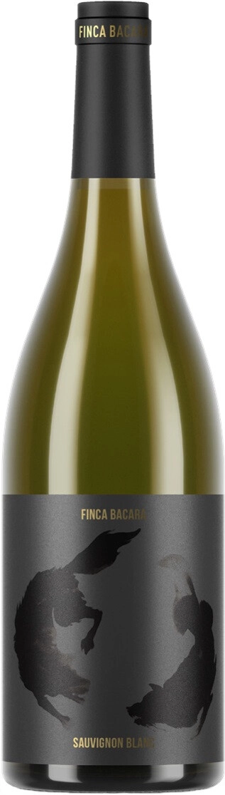 Вино Finca Bacara, Sauvignon Blanc, Jumilla DOP