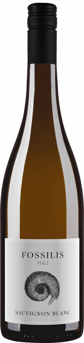 Вино Weingut Pfluger, "Fossilis" Sauvignon Blanc