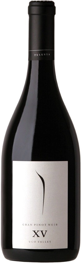 Вино Pulenta, "Gran" Pinot Noir XV