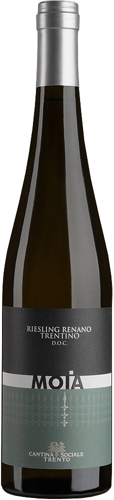 Вино Cantina Sociale Trento, "Moia" Riesling Renano, Trentino DOC