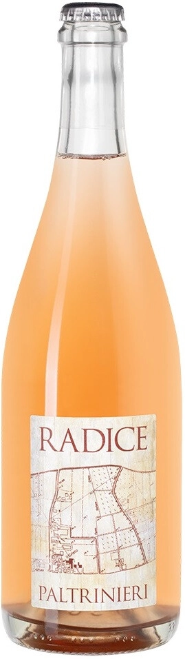 Игристое вино Paltrinieri, "Radice" Lambrusco di Sorbara DOC