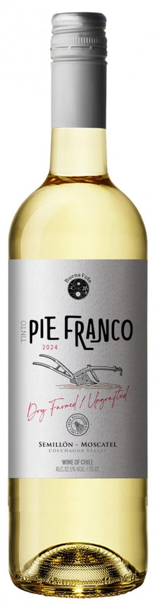 Вино Wildmakers, "Pie Franco" Semillon-Sauvignon Blanc-Moscatel, Valle de Colchagua DO