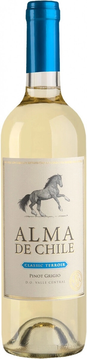 Вино "Alma de Chile" Pinot Grigio, Valle Central DO