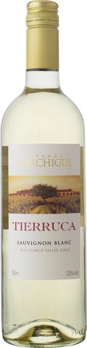 Вино "Tierruca" Sauvignon Blanc, Curico Valley DO