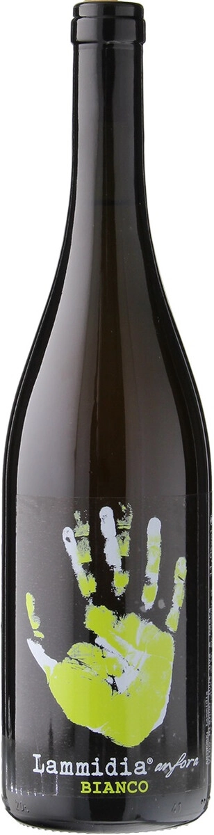 Вино Lammidia, "Anfora" Bianco